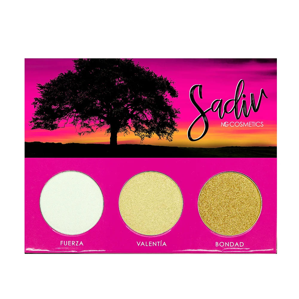 SADIV PALETA ILUMINADOR
